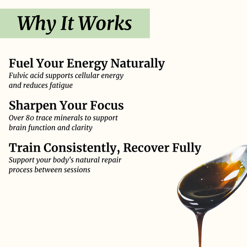 Himalayan Shilajit