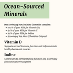 Sea Moss Gummies