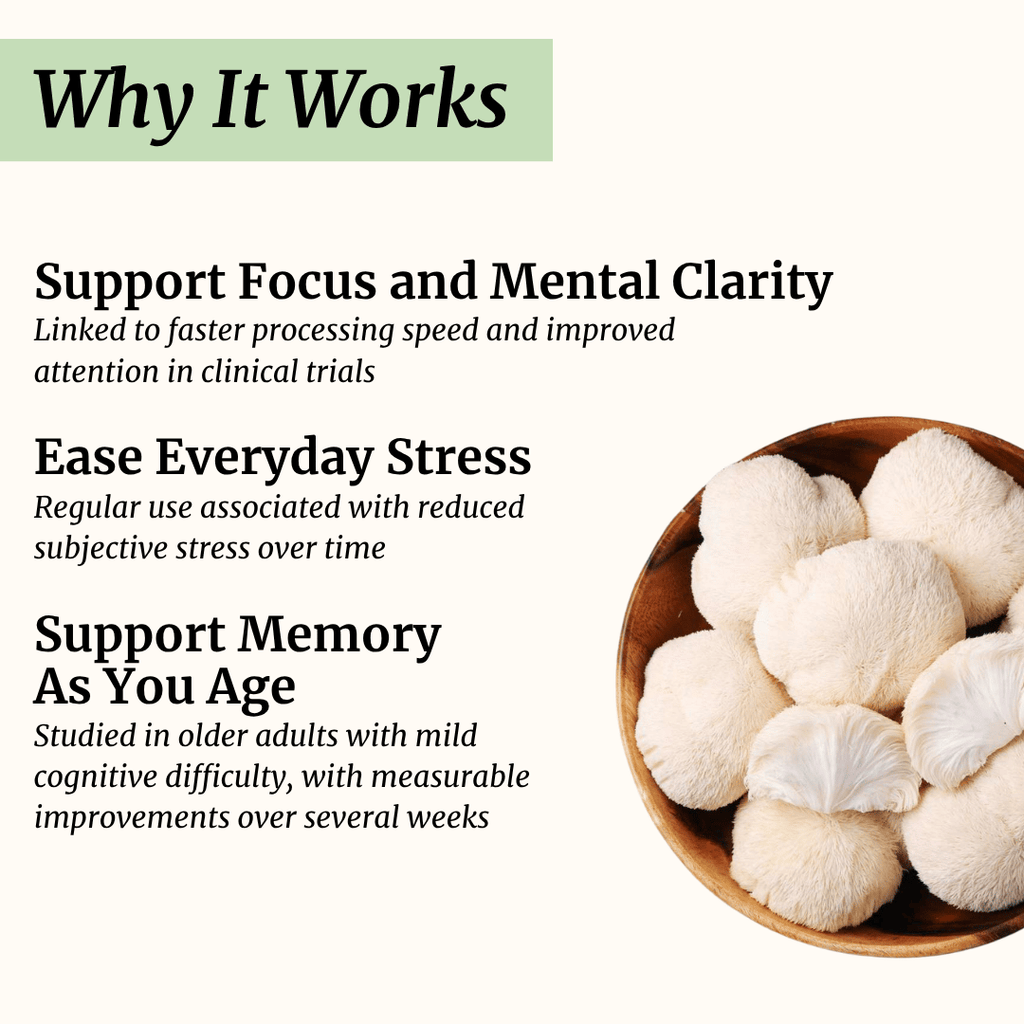 lions mane mushroom benefits