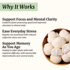 lions mane mushroom benefits