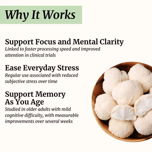 lions mane mushroom benefits